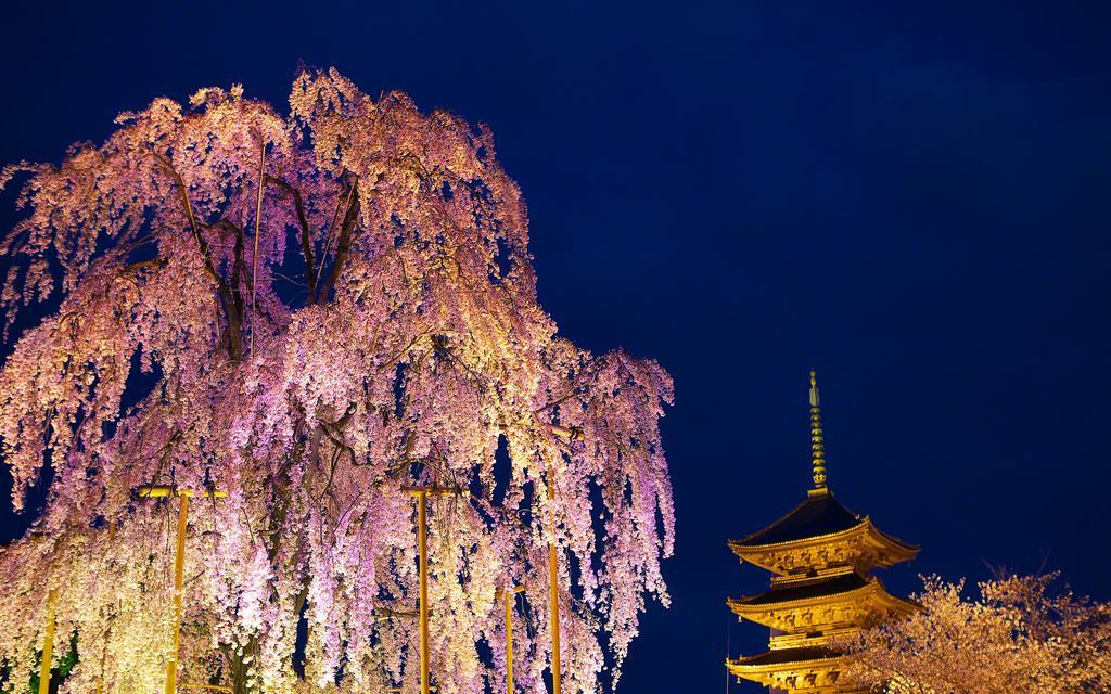 Miyanoan Villa Kyoto Luaran gambar