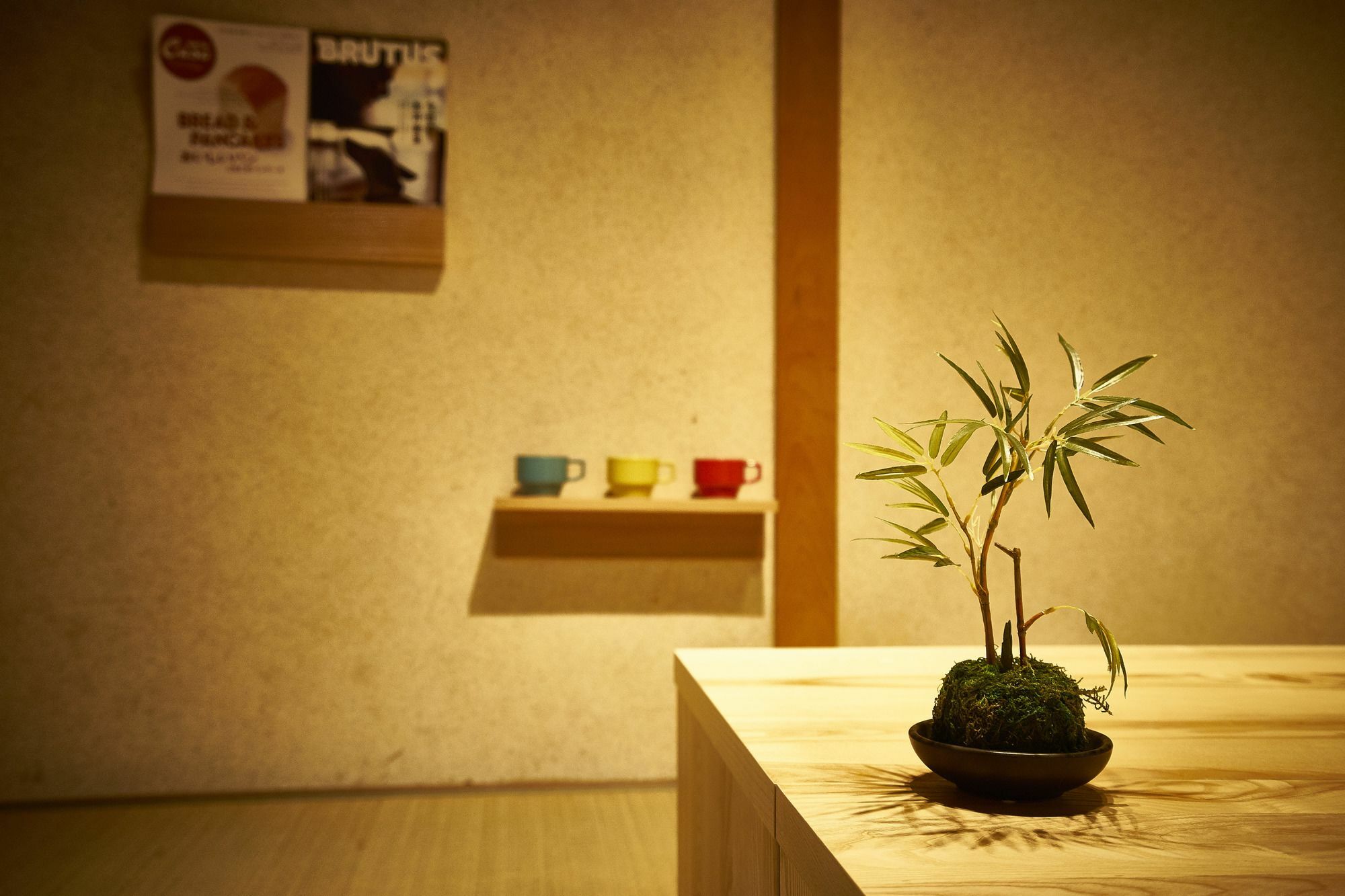 Miyanoan Villa Kyoto Luaran gambar